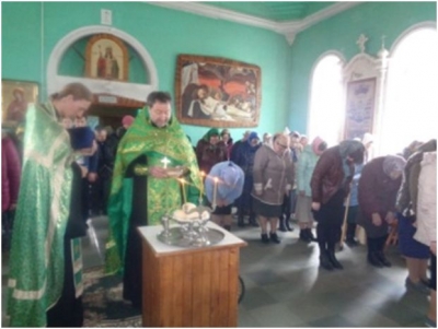 Вербное воскресение. Вход Господень в Иерусалим.